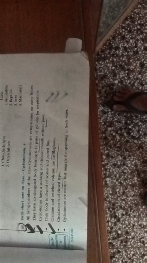 Write short note on class Cyclostomata.... | Filo