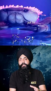 442K views · 4.5K reactions | Shell Shocked: Uncovering the Amazing World of Crabs #CrabFacts #CrustaceanWonders #OceanCreatures | Jot TV | Facebook