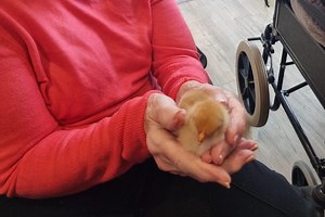 YourWorld: how to submit your stories straight to our newsrooms