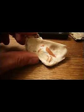 Painting seashells – a simple & beautiful DIY idea! #craftingwithkids #kidscrafts #diy