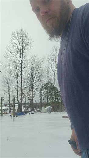 CrAzY FaRm winter Garden fun