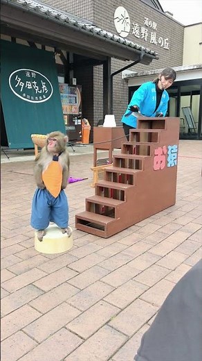 जापानका कुरा#japan#