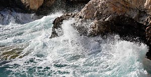 MARINE BIODIVERSITY IN SCOTLAND