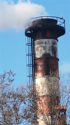 Duam Çair të pastër on Instagram: "Nje arom helmuese kundermon, veqa asaj vien copza thingilli (zift) Ngrohtorja Fush Topanë"