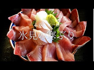【富山 氷見】氷見の寒ぶり｜ふらっと一杯 Vol.09