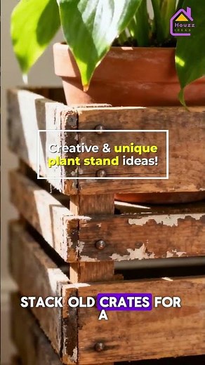 Unique Plant Stand Ideas 💡🌿 Creative Designs You’ll Want to Try!