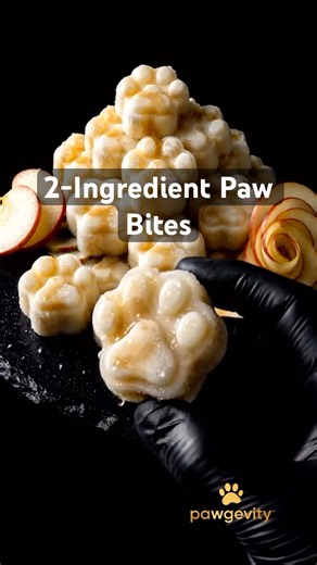 Simple Frozen Treat That Vets Actually Recommend #dogtreats #seniordog