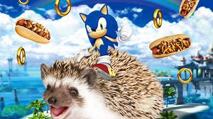 How Sonic the Hedgehog’s weirdo Twitter account could bring him back from the brink