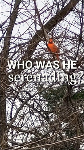 WHO WAS HE serenading? 🤍🌿