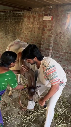 👆🏻To Watch Full Video Click Here| Repost | December 10th 4:10 PM