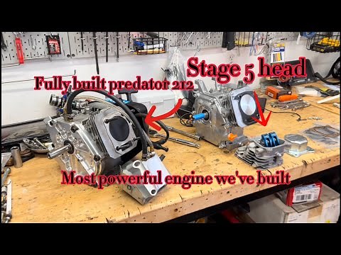 Our most powerful engine build yet! Stage 5 head on a predator 212cc engine full billet parts!