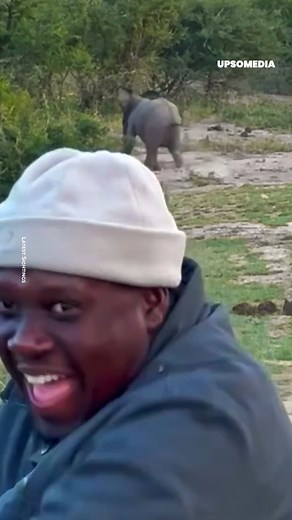 12K views · 105 reactions | Maybe you'll have to think twice before laughing at a rhinoceros 憐憐 It comes at a cost. | The Kiwi | Facebook