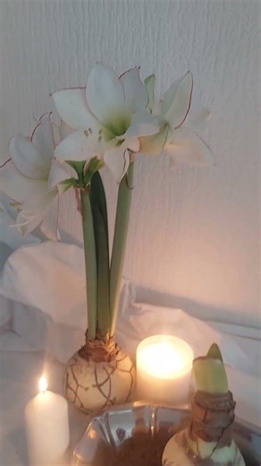 She thought it was just decor… until it .... #giftforher #giftformom