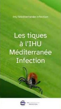 Les tiques à l'IHU Méditerranée Infection