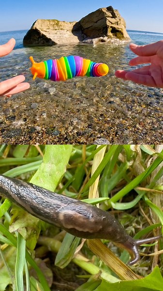 Toy Learning Fun | Kids Learn Bug Insect Names at the Shore: Praying Mantis Scorpion Stag Beetle