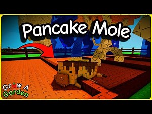 How to Get PANCAKE MOLE + Showcase in Grow a Garden (Roblox)