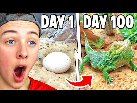 BeckBros React To Simulating A DESERT For 100 Days