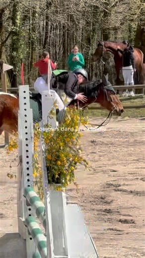 Toujours dans un extrême #prt #cheval #horse