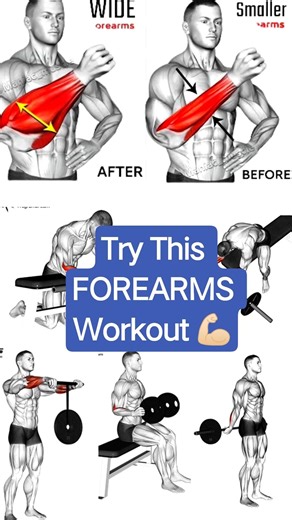 Top Perfect Exercises FOREARMS Workout 💪🏻 #forearms #shorts #shortvideo #workout