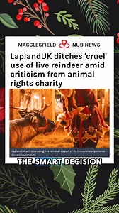 Live reindeer are still being used as Christmas props and it needs to stop. | Protect the Wild