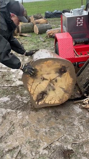 “But… How do you get the log up there?” 🧐 #WolfeRidge #Firewood #LogSplitter #Logging #Machinery