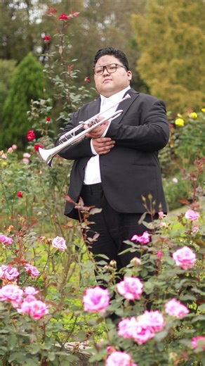 The Rose by Bette Midler - Trumpet Cover Highlights