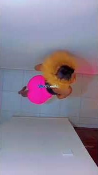 Ceiling Dance Tiktok Challenge