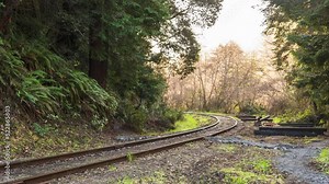 World Famous Skunk Train Fort Bragg Railway Timelapse