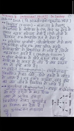 class 10 Science part 19 revision notes hindi medium haryana board