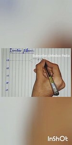 How to draw Lumbar Plexus in less than 1 minute | YT shorts | Medico Pedia