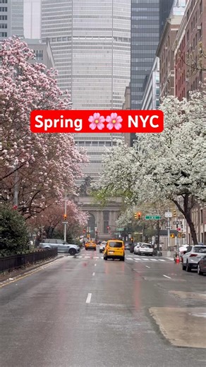 Spring in New York City | USA 4k