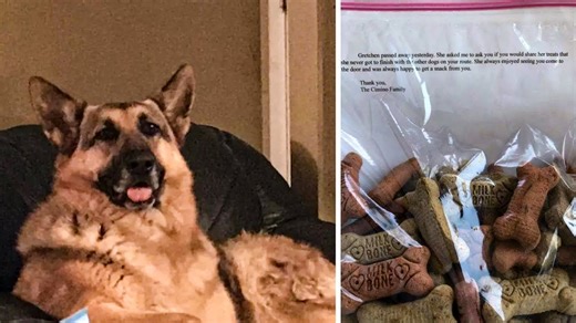 After Dog Dies, Grieving Owner Leaves Touching Note For Mailman Who Showered His Dog With Love