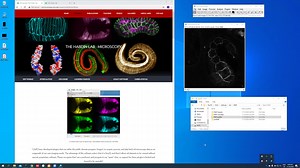 Fiji ImageJ 第10讲——FRAP分析