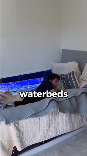 How did waterbeds vanish?!