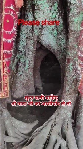 #shorts ।कुंवारा लड़का वीडियो शेयर करता है उसको सुंदरपटियामिलती है।#plese#shere #kare#plese support