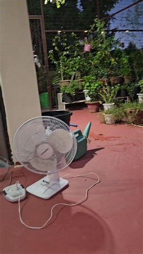 8.4K views · 118 reactions | How to grow seeds, best season for seed sowing. #gardening #seedstarting #fblifestyle | Voice of plant | Facebook