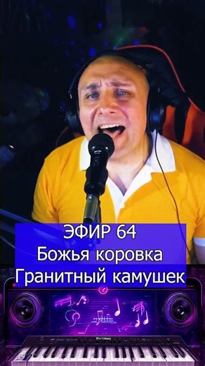 Божья коровка Гранитный камушек 1 Клондайс ЭФИР 64