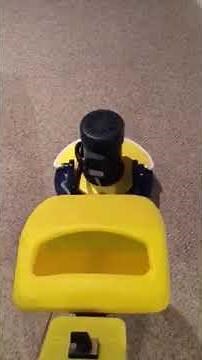 Cimex carpet cleaning