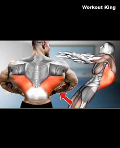 815K views · 30K reactions | 5 Effective Back Exercises  #exercise #fitness #workout #fit #gym #backworkout | Workout King | Facebook