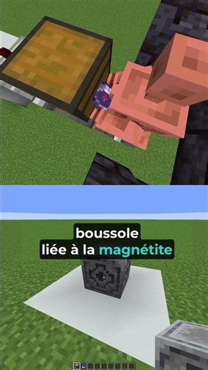 A teleport in Minecraft survival!