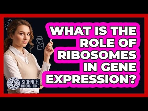 What Is The Role Of Ribosomes In Gene Expression? - Science Through Time