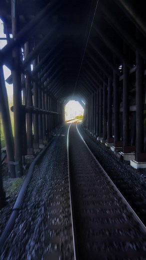 Peekaboo! Here comes the train! #arctictrain #narvik | Arctic Train