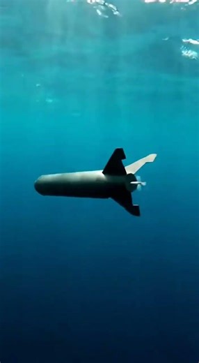 How a Destroyer Launches Anti-Submarine Torpedoes 🚢💥 #military#navy