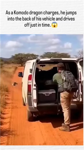 Balvinder singh | The video depicts a man narrowly escaping a charging perentie monitor lizard (Varanus giganteus), Australia's largest lizard species, on a... | Instagram