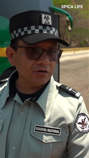 Weapons, narcotics… Nothing gets past the border! 🔍