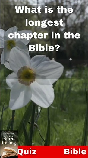 Bible Trivia Questions and Answers. (Daily Bible Quiz)