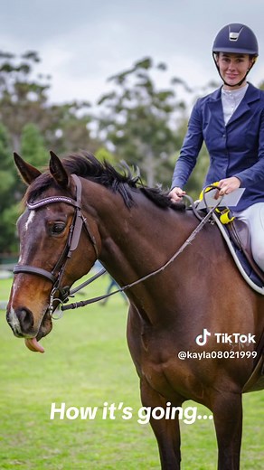 3 years with my angel 😇🤍 #showjumping #eventing #horse