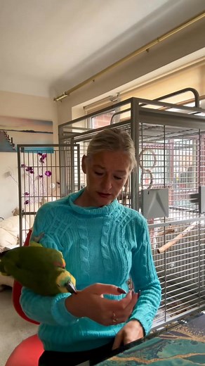 21K views · 738 reactions | Kādam šodien nav laba oma列 Bet vispār Kiwi paliek agresīvs,kad blakus ir Fetta列列 #kiwilatvietis #kiwi | Kristīne Lazdiņa | Facebook