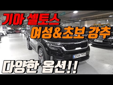 옵션 거의 풀! 셀토스 시그니처 완전 분석