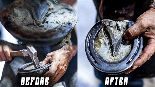 Transforming Hooves: Satisfying 4K Horse Hoof Restoration ASMR
